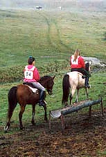 alexmo25miler.jpg (12077 bytes)