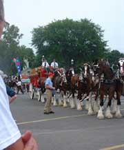 budhitch.jpg (7861 bytes)