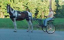 daffdrivecart.jpg (8145 bytes)