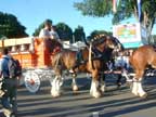 hallamorehitch.jpg (5661 bytes)