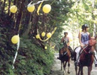 keriollieballoons.JPG (11395 bytes)