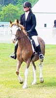 lillydressage.jpg (8555 bytes)