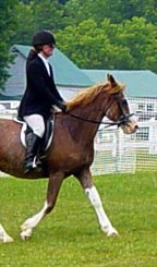 lillydressagehalfbody.jpg (11713 bytes)