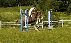 lillyjump.jpg (17642 bytes)