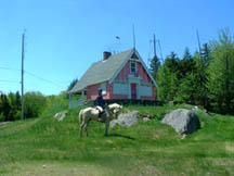 mayapinkhouse.jpg (8123 bytes)