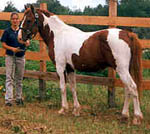 pascoandzoe.JPG (8035 bytes)