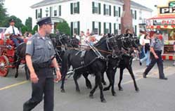 ponyhitch.jpg (10218 bytes)