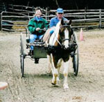 rockycart.jpg (10684 bytes)