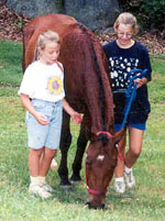 twelvecrowskids.JPG (15003 bytes)