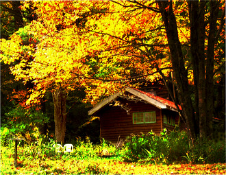 Cabin Fall Foliage